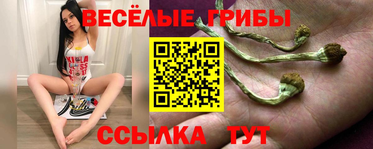 Псилоцибиновые грибы GOLDEN TEACHER  Вход с VPN  Ликино-Дулёво  Псилоцибиновые грибы прущие грибы 